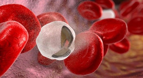 تحليل انيميا الفول