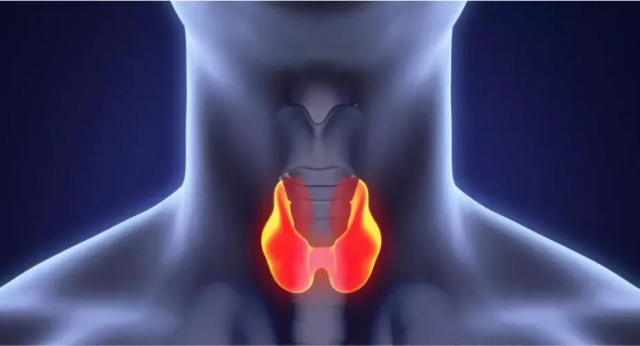 اشعة بالموجات الصوتية على الغدة الدرقية