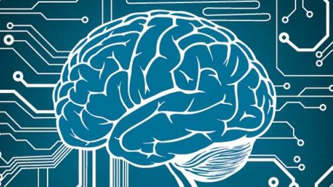 كيفية رسم المخ